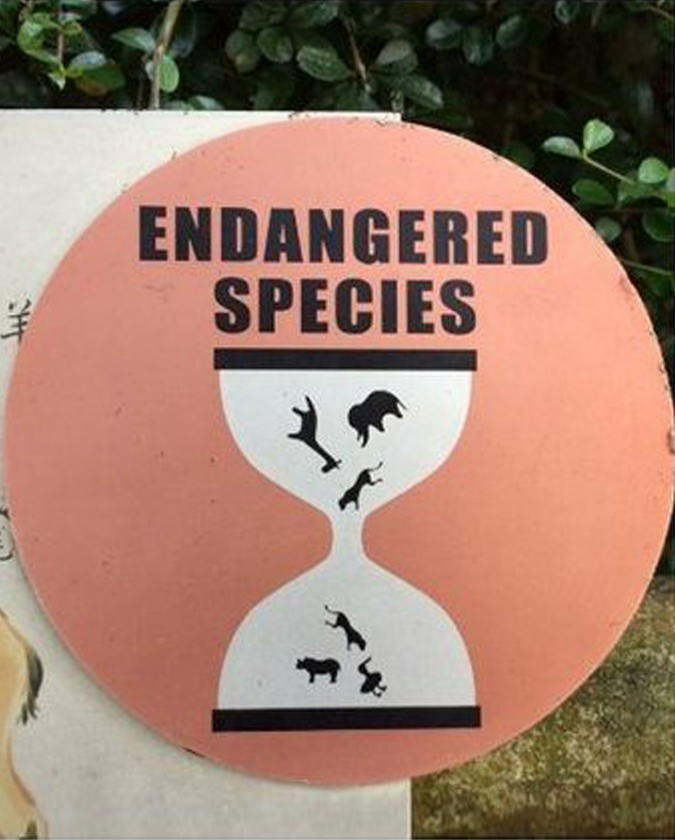 Endangered species hourglass