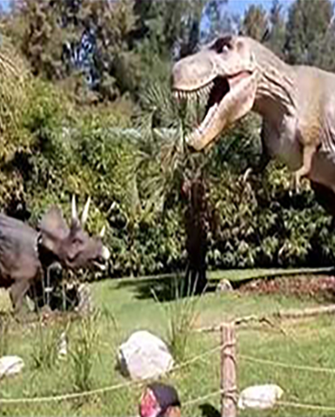 Dinosaur statues at a park