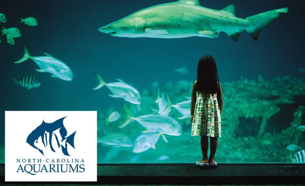 Girl in dress looking a large aquarium